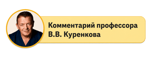 Комментарий профессора В.В. Куренкова